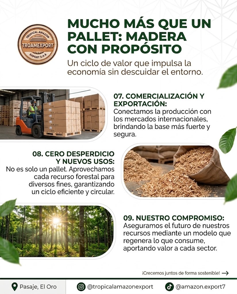 Comercialización de pallets y aprovechamiento de recursos forestales de TROAMEXPORT