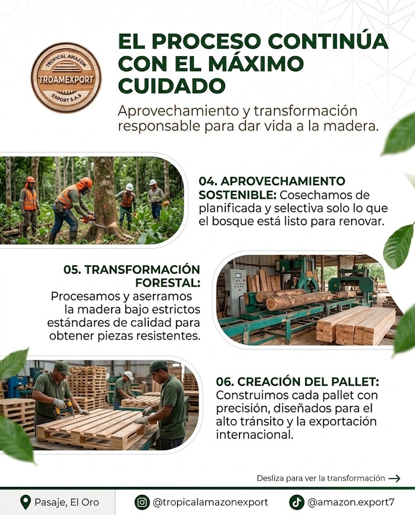 Lámina informativa 2: Transformación de la madera