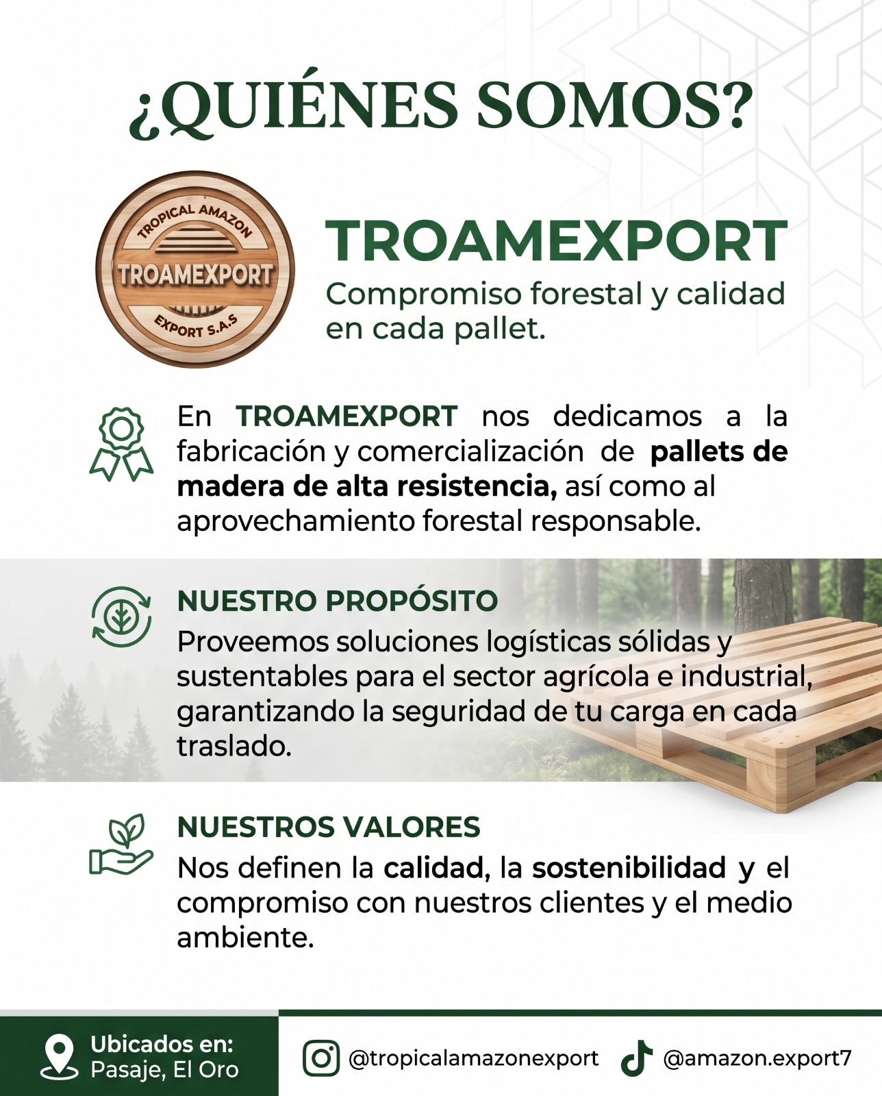 ¿Quiénes somos? Presentación de TROAMEXPORT